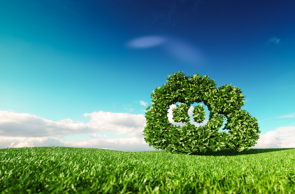 Public sector carbon reduction plan